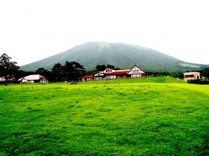 To Mount Daisen, With Love: Forest-bathing and healing with Nature