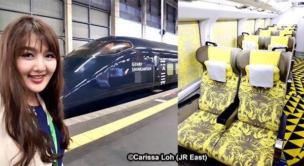 The world's fastest art gallery: GENBI SHINKANSEN