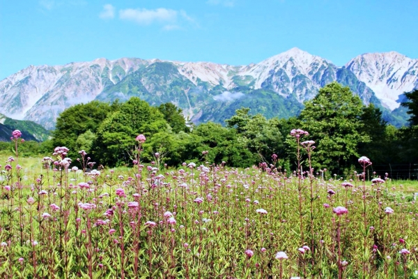 Hakuba in summer Part 2: Amazing adventures await!