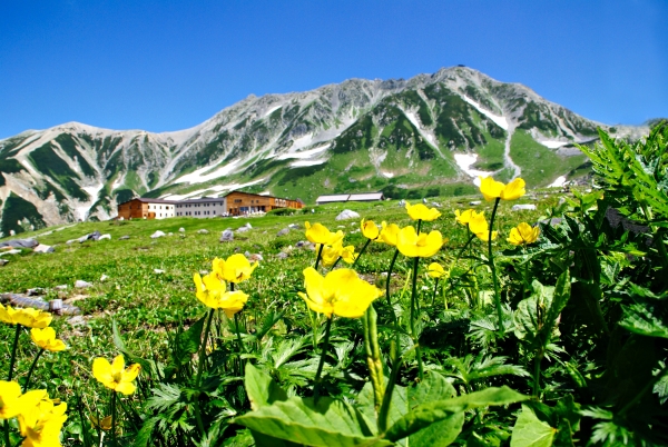 Alpine scenery made easy: 4 seasons at the Tateyama Kurobe Alpine Route