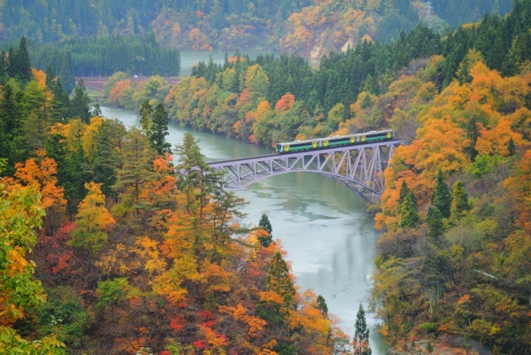 Hop aboard and soak in the hues of autumn at Aizu, Fukushima