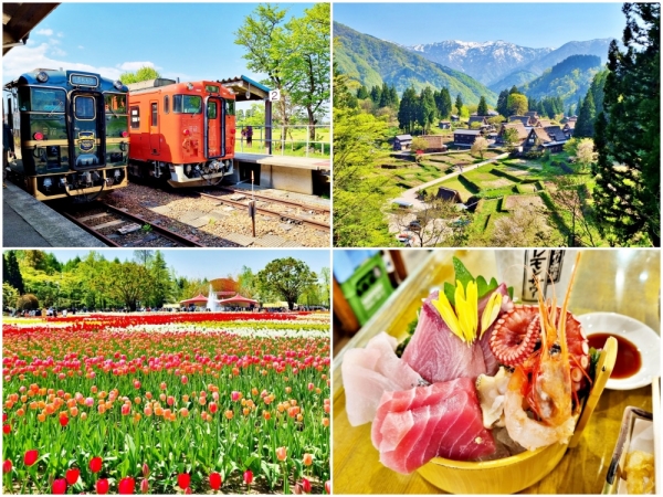 Travelling through Toyama: Trains rides, tulips, and tasty treats