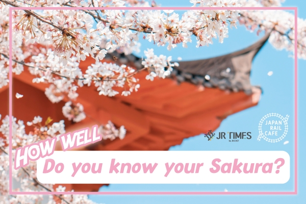 Sakura Special: 5 Must-see types of cherry blossom trees in Japan