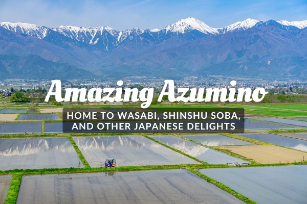 Amazing Azumino: Home to Wasabi, Shinshu Soba, and Other Japanese Delights