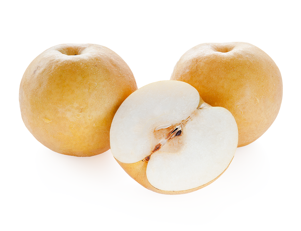 Japanese Pear